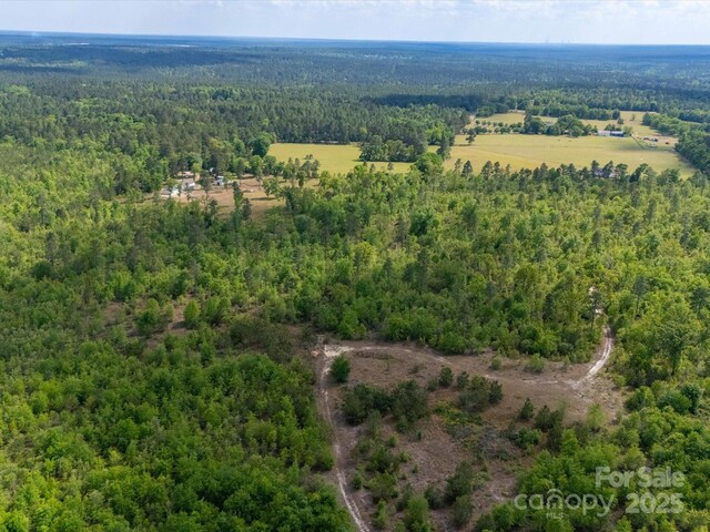 2675 Andrews Cir, Aiken, SC 29803 - view of property location with a forest