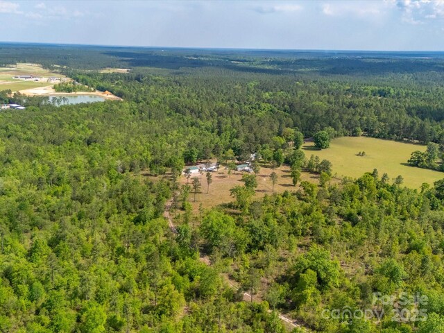 2675 Andrews Cir, Aiken, SC 29803 - aerial view of a forest