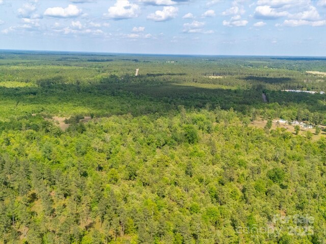 2675 Andrews Cir, Aiken, SC 29803 - bird's eye view of a heavily wooded area