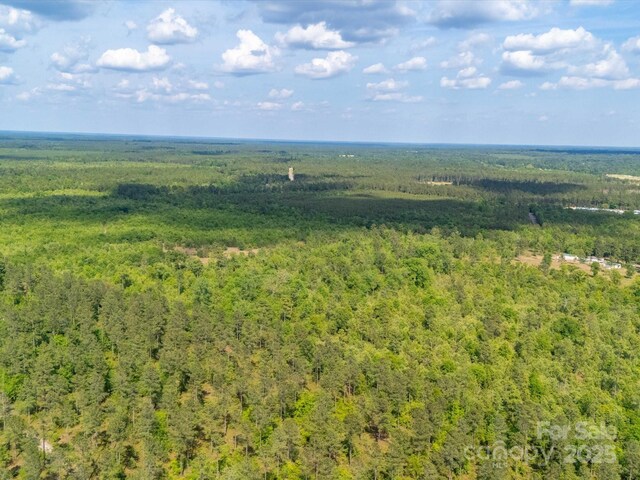 2675 Andrews Cir, Aiken, SC 29803 - aerial view of a forest