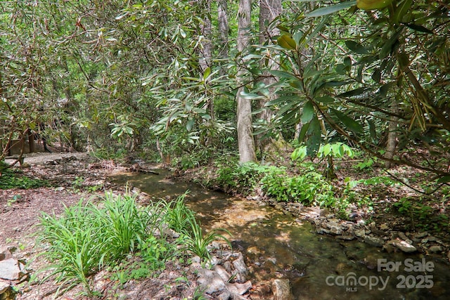 19 Reuben Branch Rd, Maggie Valley, NC 28751 - view of local wilderness