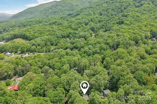 19 Reuben Branch Rd, Maggie Valley, NC 28751 - drone / aerial view of a heavily wooded area and mountains