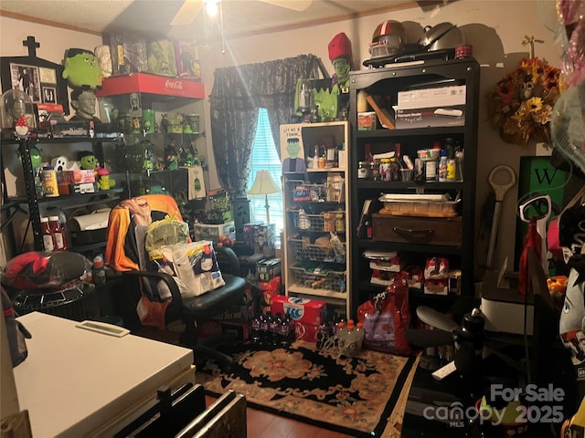2165 Peanuts Ln, Newton, NC 28658 - office space featuring ceiling fan
