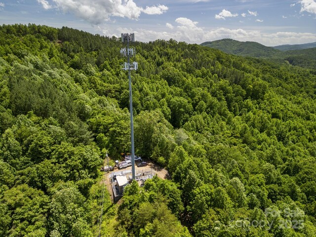 1006 Seagle St, Marion, NC 28752 - photo 4