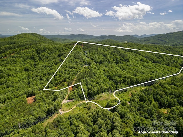 1006 Seagle St, Marion, NC 28752 - photo 9