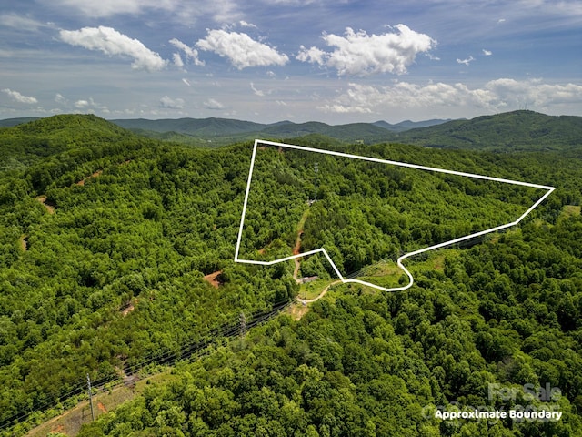 1006 Seagle St, Marion, NC 28752 - photo 11