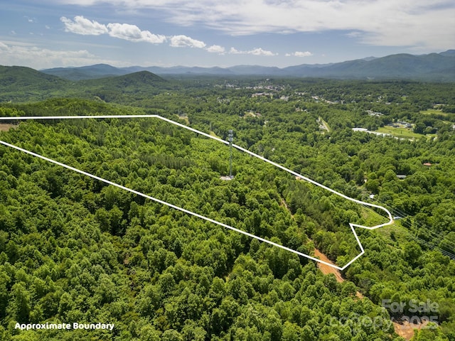 1006 Seagle St, Marion, NC 28752 - photo 12