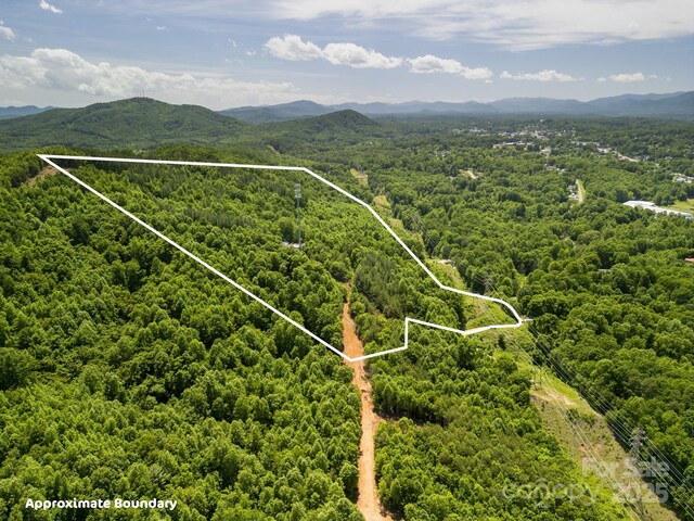 1006 Seagle St, Marion, NC 28752 - photo 13