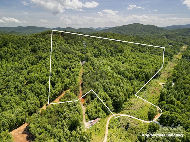 1006 Seagle St, Marion, NC 28752 - photo 14