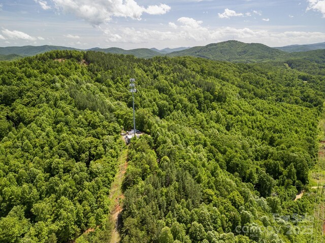 1006 Seagle St, Marion, NC 28752 - photo 15