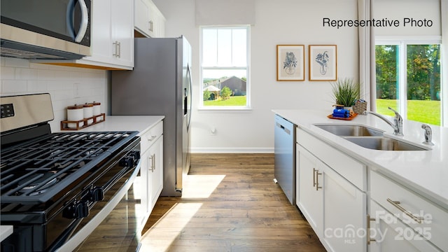 kitchen with stainless steel appliances, a sink, wood finished floors, and plenty of natural light