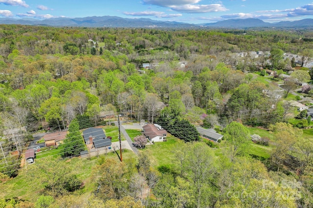 40 Singing Pines Dr, Candler, NC 28715 - photo 43