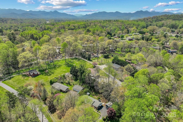 40 Singing Pines Dr, Candler, NC 28715 - photo 44