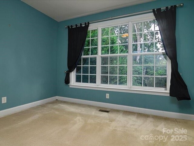9913 Hazelview Dr, Charlotte, NC 28277 - photo 11