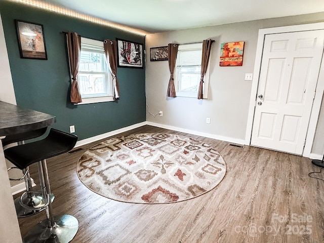 116 N Blue Ridge Ave, Hendersonville, NC 28792 - entrance foyer featuring plenty of natural light, wood finished floors, and baseboards
