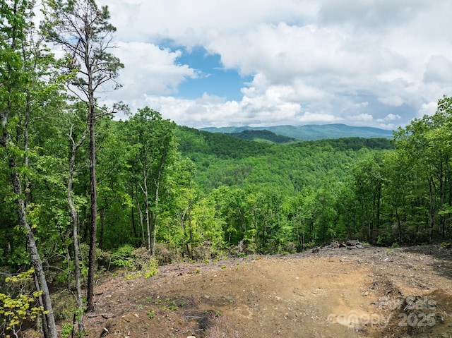 000 Flat Mountain Rd, Lenoir, NC 28645