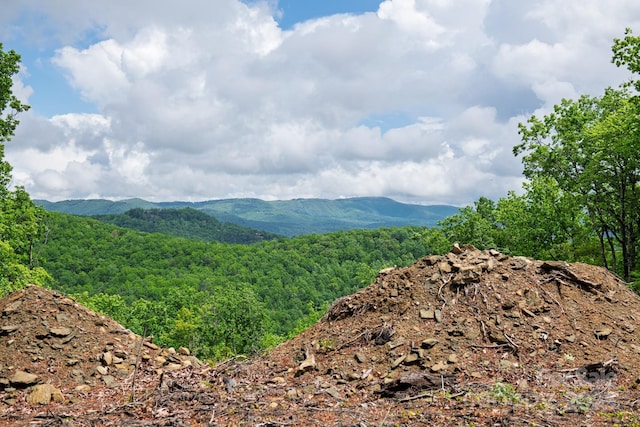 000 Flat Mountain Rd, Lenoir, NC 28645