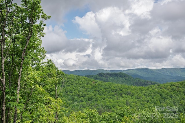 000 Flat Mountain Rd, Lenoir, NC 28645