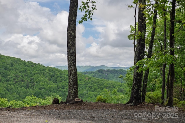 000 Flat Mountain Rd, Lenoir, NC 28645