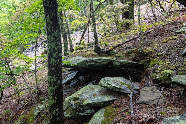 000 Flat Mountain Rd, Lenoir, NC 28645