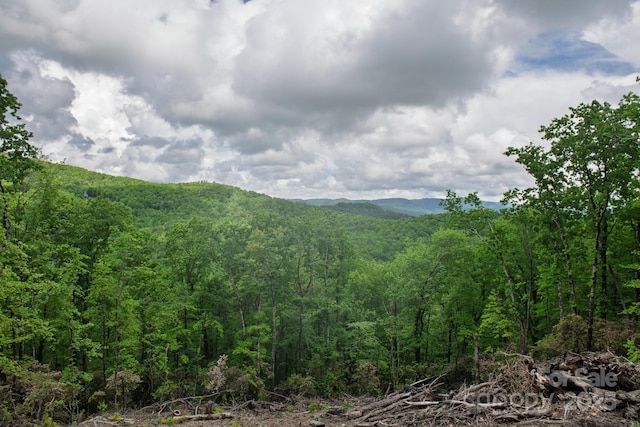 000 Flat Mountain Rd, Lenoir, NC 28645
