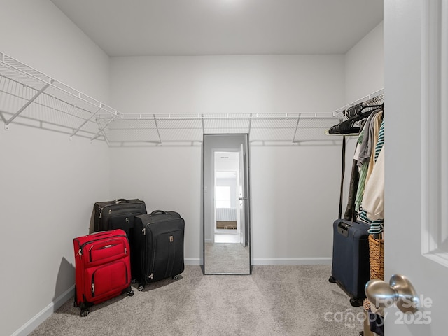 7007 Manse Ct, Boiling Springs, SC 29316 - walk in closet with carpet