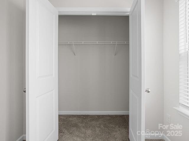 7007 Manse Ct, Boiling Springs, SC 29316 - view of closet