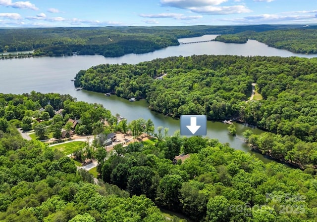 drone / aerial view of a forest and a nearby body of water