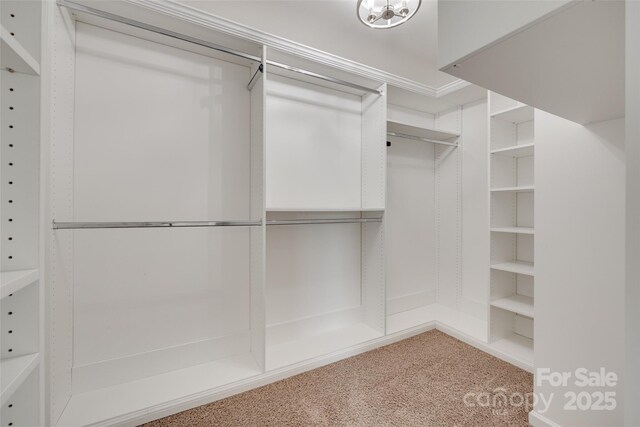 2169 Shady Pond Dr, Clover, SC 29710 - walk in closet with carpet floors