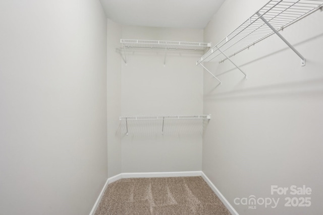 6332 Sackett Way, Charlotte, NC 28269 - walk in closet featuring carpet flooring
