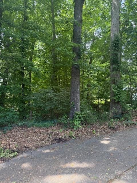 00 Greentree Dr, Mount Holly, NC 28120