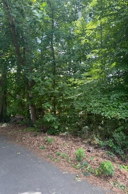 00 Greentree Dr, Mount Holly, NC 28120