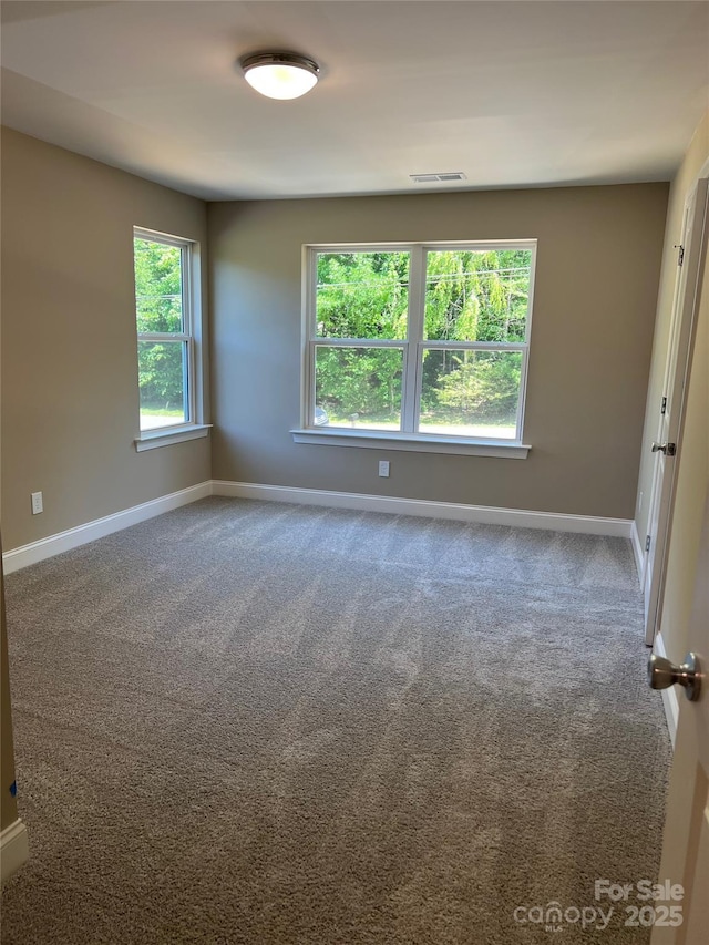 183 Pine Haven Rd, Statesville, NC 28677 - spare room with baseboards and carpet flooring