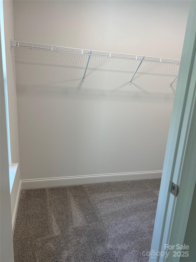 183 Pine Haven Rd, Statesville, NC 28677 - walk in closet featuring carpet