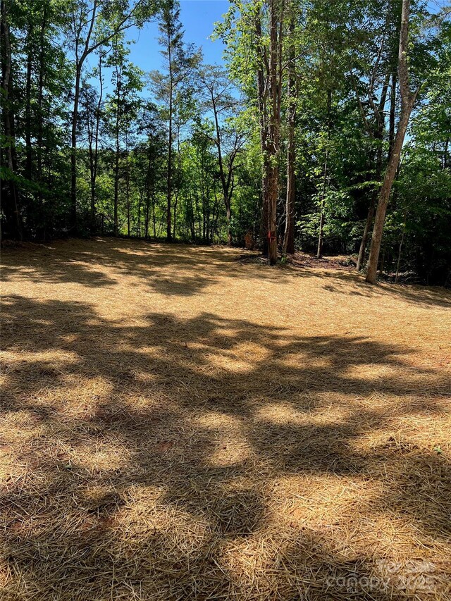 183 Pine Haven Rd, Statesville, NC 28677 - view of yard