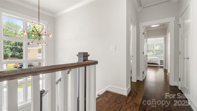 1446 Downs Ave, Charlotte, NC 28205 - hallway with dark wood-style flooring, ornamental molding, an upstairs landing, and a chandelier
