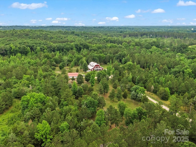 925 Hamilton Rd, Chester, SC 29706 - photo 3
