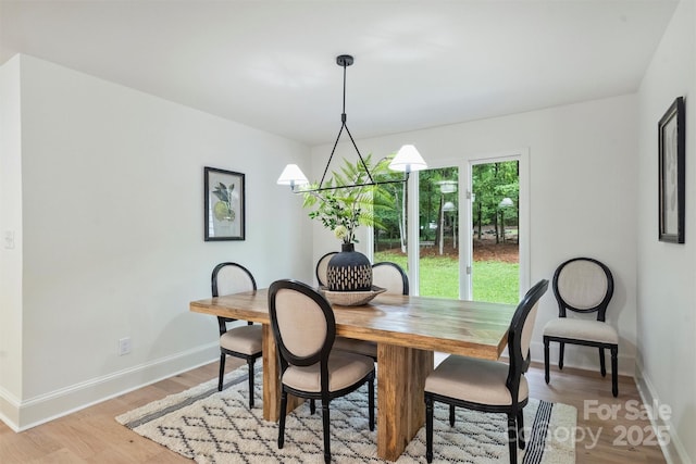 9520 Squirrel Hollow Ln, Charlotte, NC 28270 - dining area featuring baseboards and light wood-style floors
