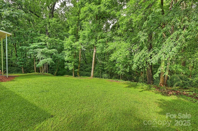 9520 Squirrel Hollow Ln, Charlotte, NC 28270 - view of grassy yard with a wooded view