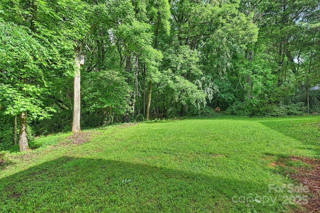 9520 Squirrel Hollow Ln, Charlotte, NC 28270 - view of green lawn