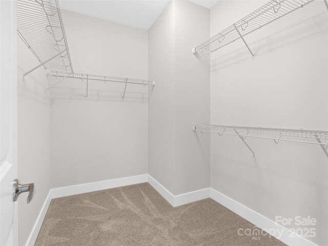572 Sweet Birch Park Ln, Black Mountain, NC 28711 - photo 21