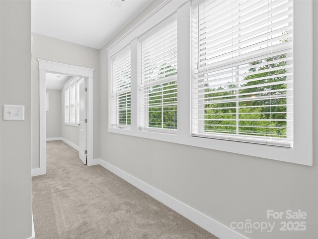 572 Sweet Birch Park Ln, Black Mountain, NC 28711 - photo 32