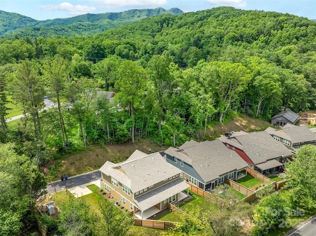 572 Sweet Birch Park Ln, Black Mountain, NC 28711 - photo 9