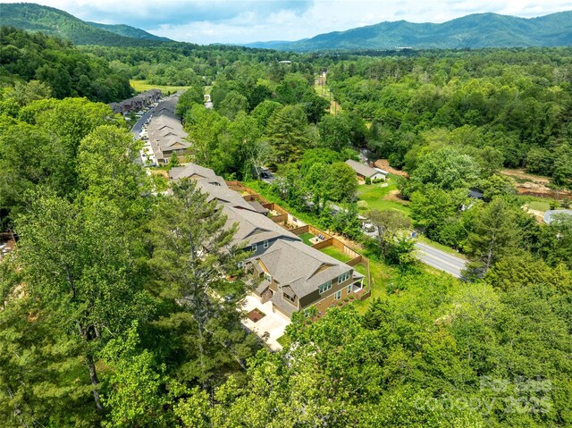 572 Sweet Birch Park Ln, Black Mountain, NC 28711 - photo 11