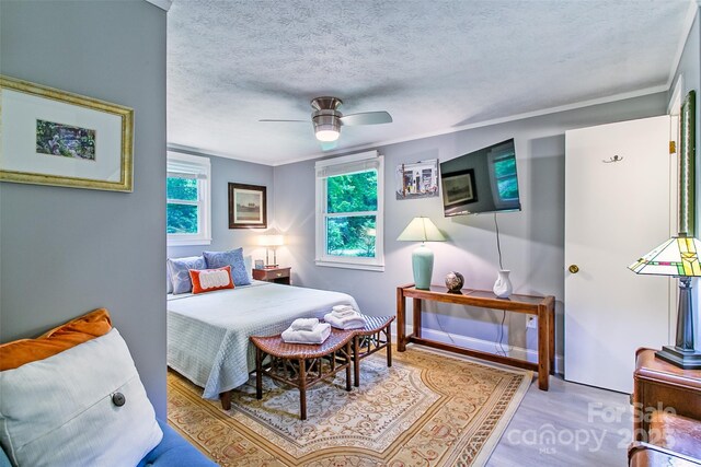 15 Pope Rd, Brevard, NC 28712 - photo 14