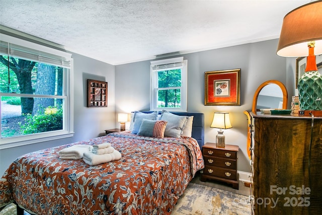 15 Pope Rd, Brevard, NC 28712 - photo 20