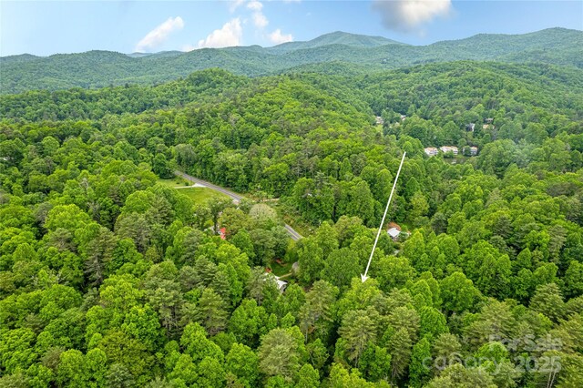 15 Pope Rd, Brevard, NC 28712 - photo 28