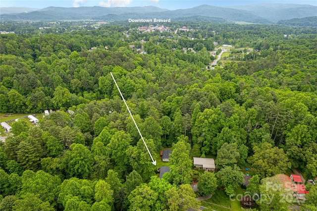 15 Pope Rd, Brevard, NC 28712 - photo 29