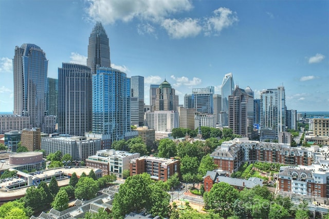 229 N Church St Unit 204, Charlotte, NC 28202 - skyline view
