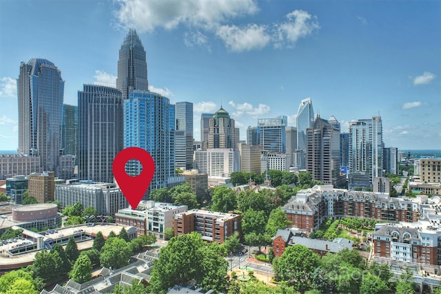 229 N Church St Unit 204, Charlotte, NC 28202 - skyline view